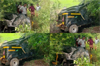 Belthangady: Wild elephant wrecks auto-rickshaw in Boliyaru; driver escapes unharmed